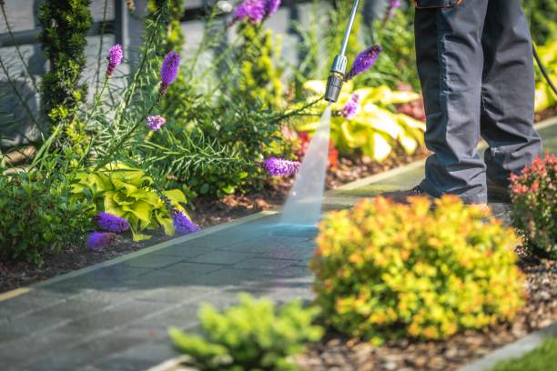 Best Driveway Pressure Washing  in Copiague, NY